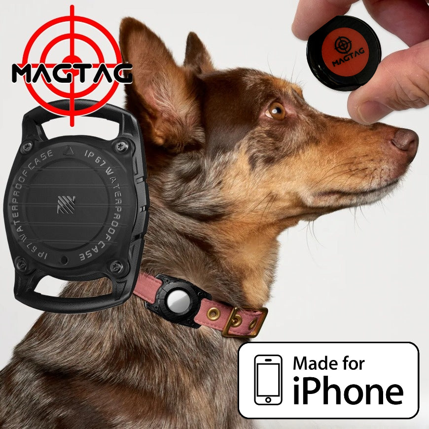Keep Your Dog Safe with MagTag’s New Location-Sharing Feature