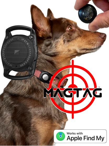 MagTag™ Dog Tracker Kit