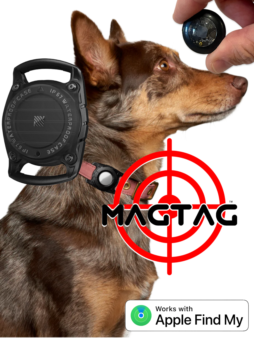 MagTag™ Dog Tracker Kit