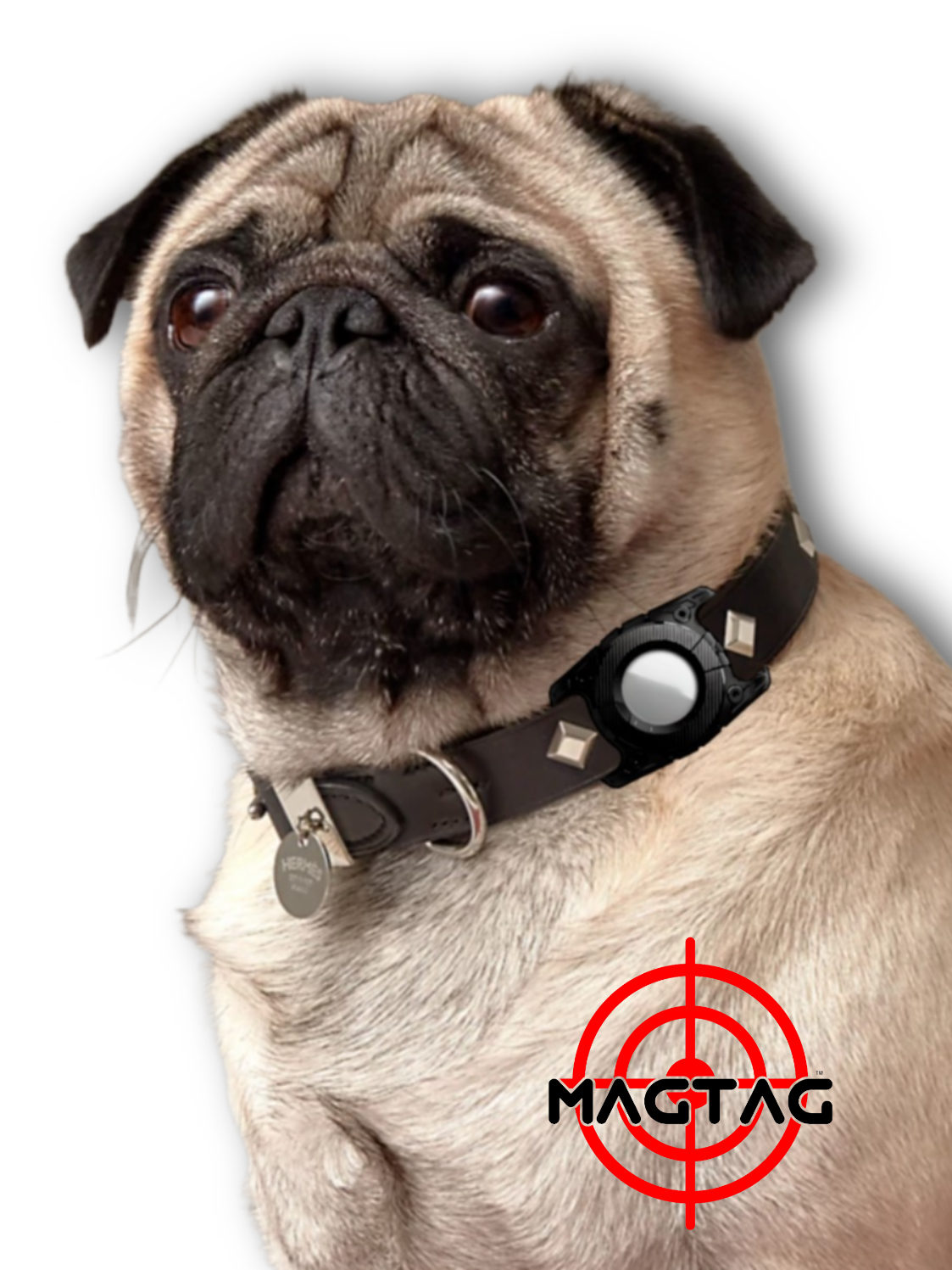 🆕MagTag™ Waterproof Dog Collar Case - MagTag™